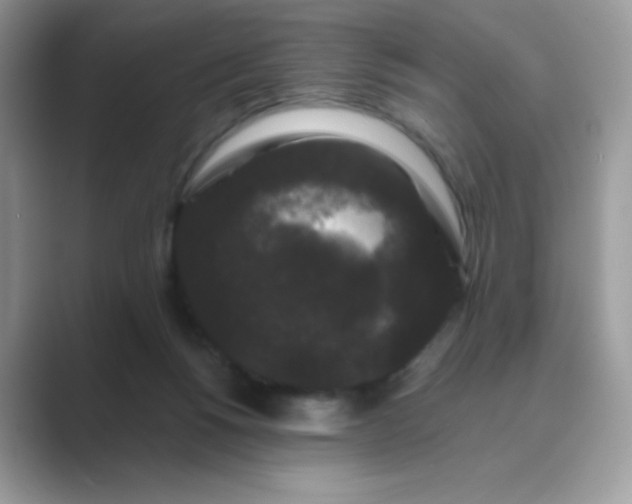 X0000089740168200707051803