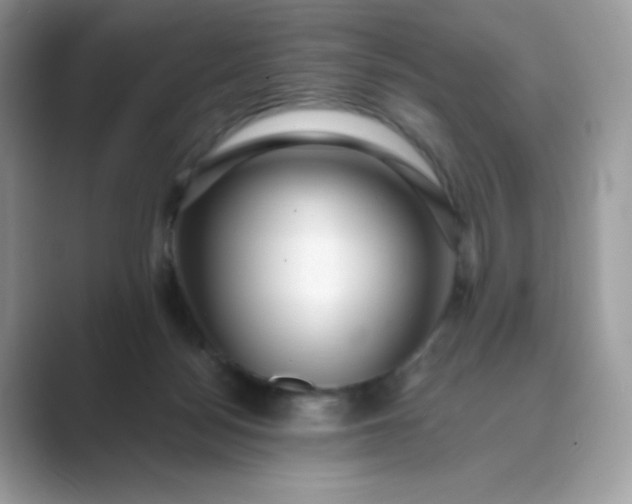 X0000089740172200707051803