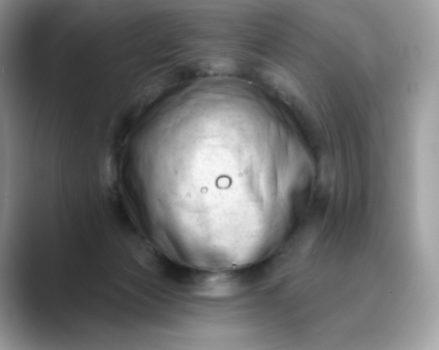 X0000089740173200707051803