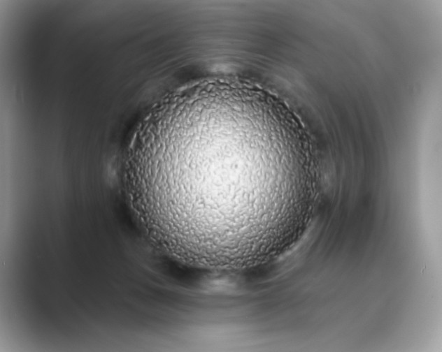 X0000089740175200707051803