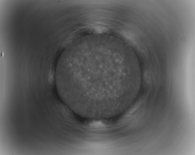 X0000089740177200707051803