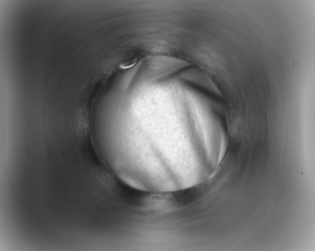 X0000089740179200707051803