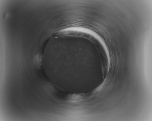 X0000089740180200707051803