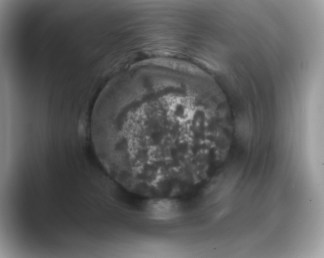 X0000089740181200707051803