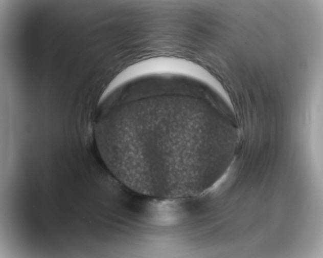 X0000089740186200707051803