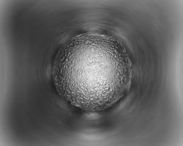 X0000089740189200707051804