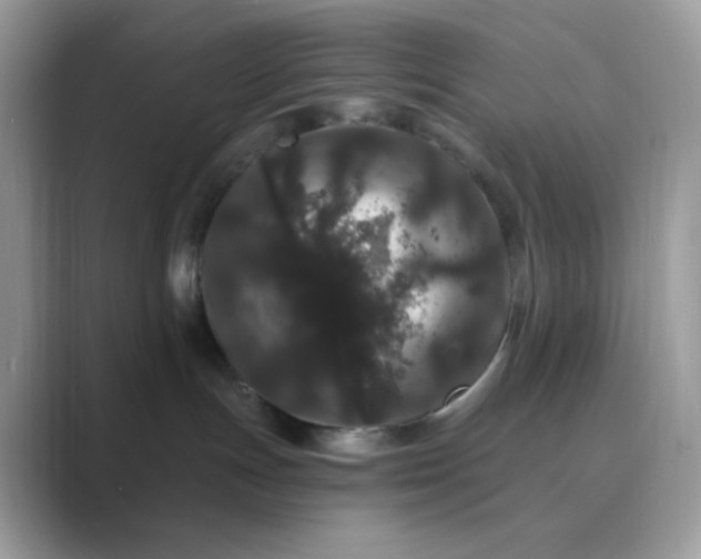 X0000089740191200707051804