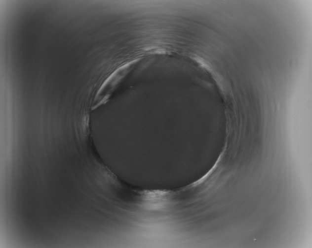 X0000089740192200707051804