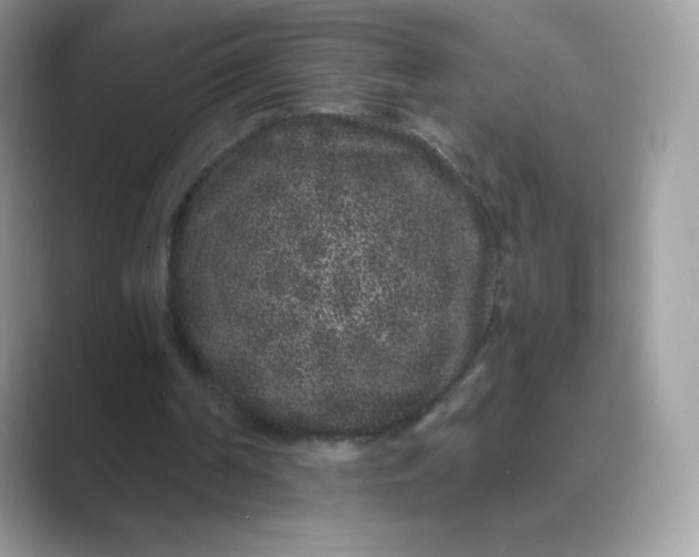 X0000089740194200707051803