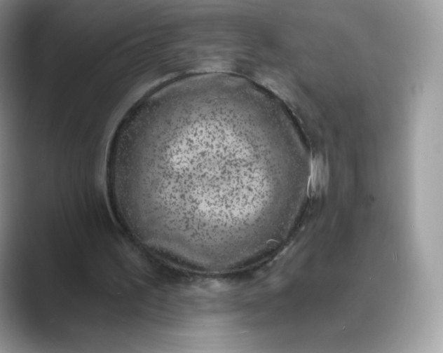 X0000089740195200707051803