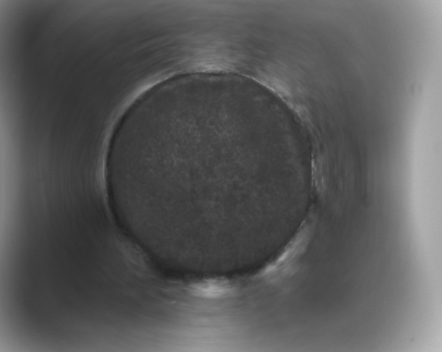 X0000089740196200707051803