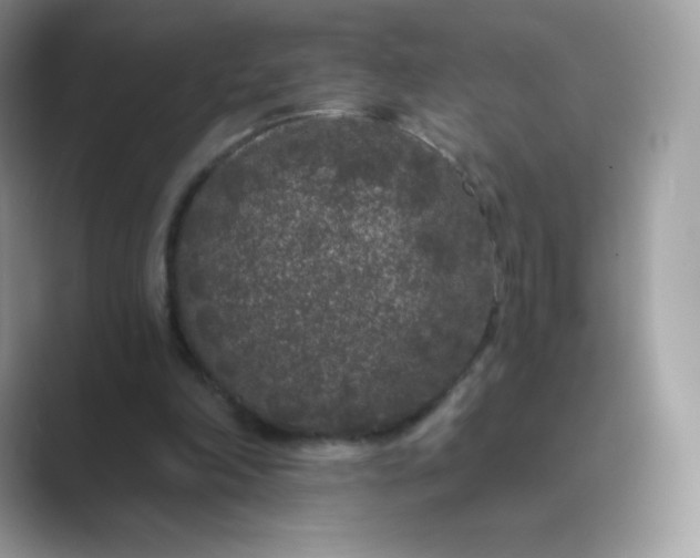 X0000089740198200707051803