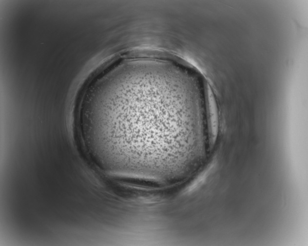 X0000089740199200707051803