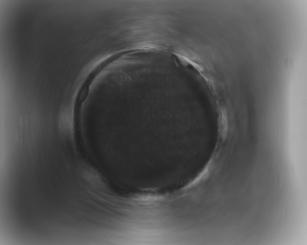 X0000089740200200707051803