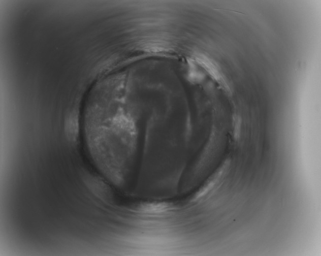 X0000089740202200707051803