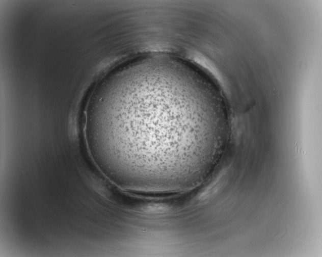 X0000089740203200707051803