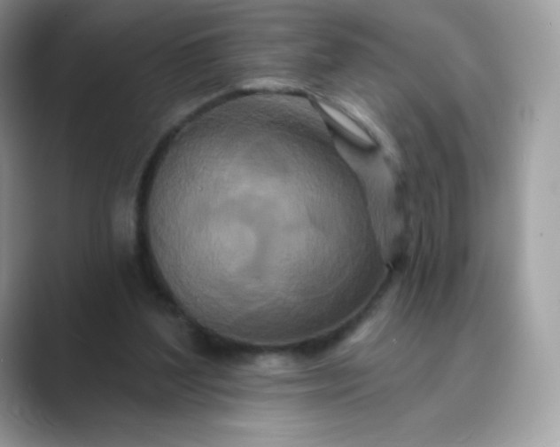 X0000089740204200707051803