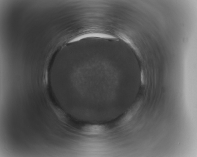 X0000089740205200707051803