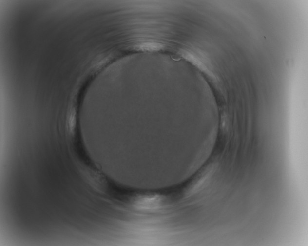 X0000089740206200707051803