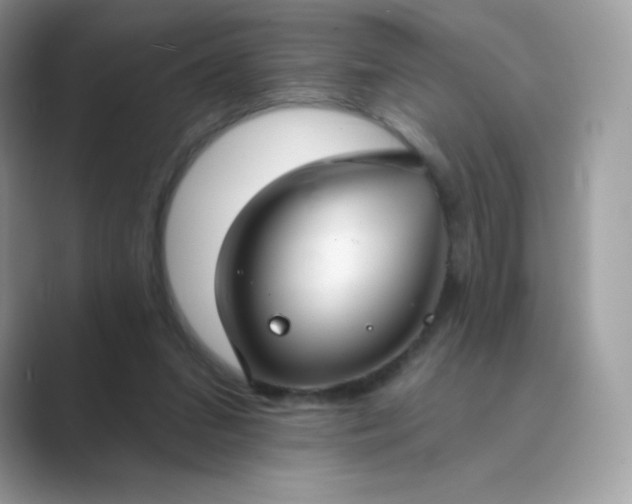 X0000089740207200707051803