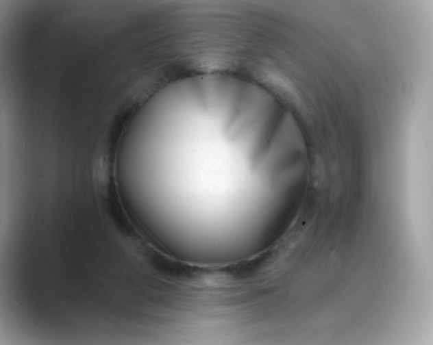 X0000089740210200707051803