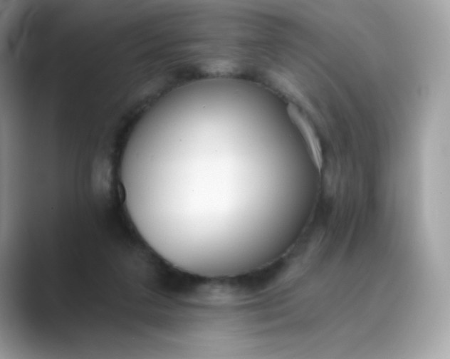 X0000089740211200707051803