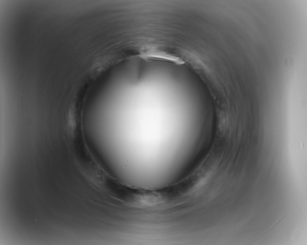 X0000089740215200707051803