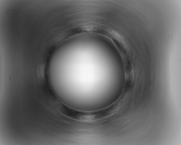 X0000089740217200707051803