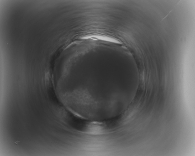 X0000089740222200707051803