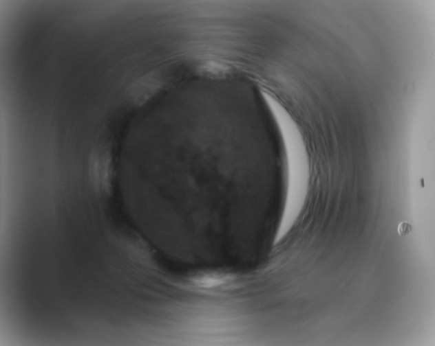 X0000089740223200707051803