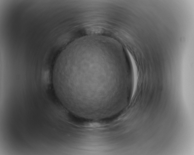 X0000089740224200707051803