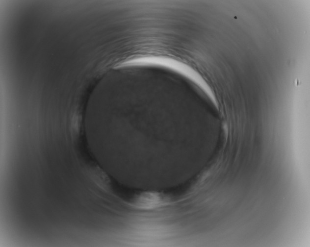 X0000089740227200707051803