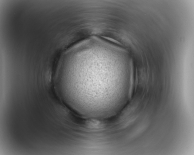 X0000089740230200707051803