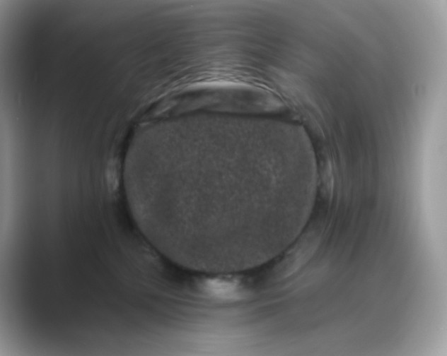 X0000089740232200707051803