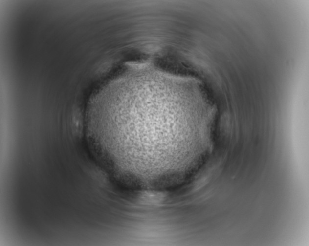 X0000089740234200707051803