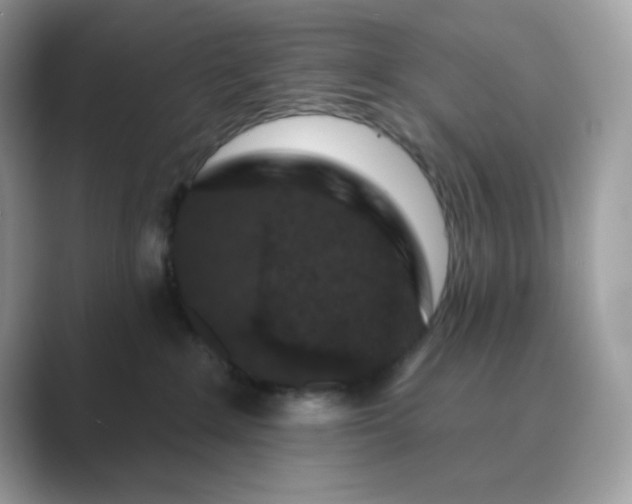 X0000089740235200707051802