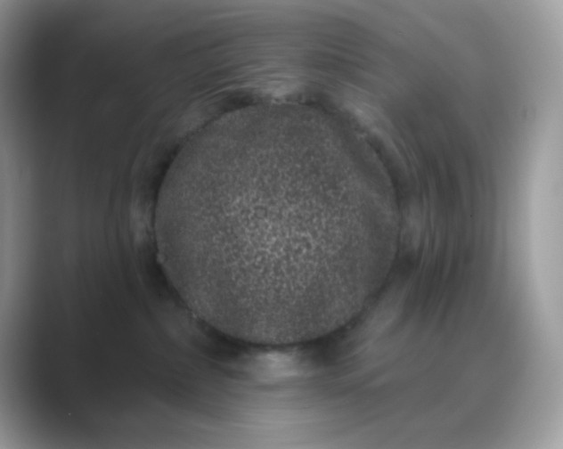 X0000089740236200707051802