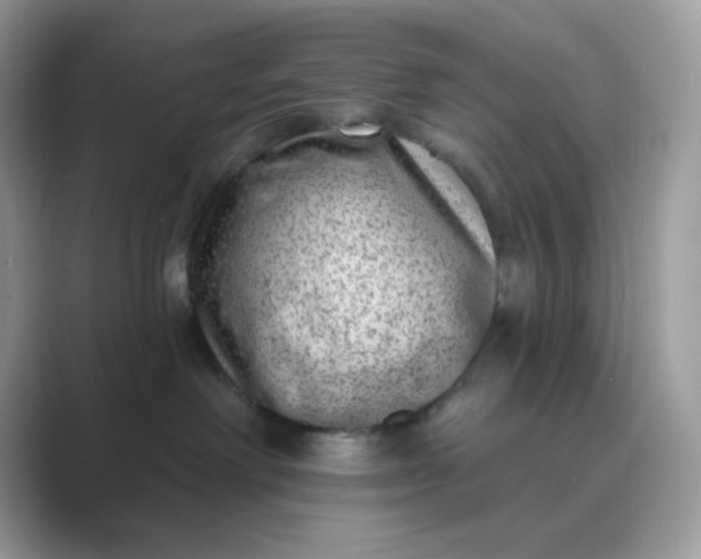 X0000089740238200707051802