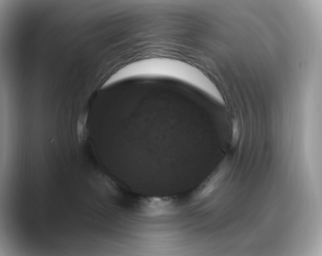 X0000089740239200707051802