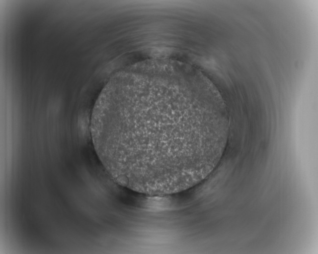 X0000089740240200707051802