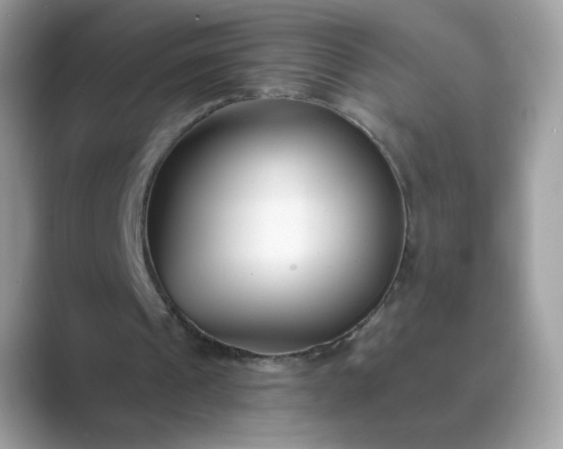 X0000089740241200707051802