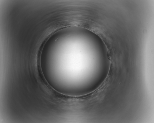 X0000089740242200707051802