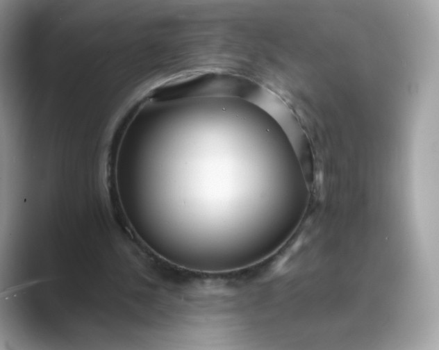 X0000089740244200707051802