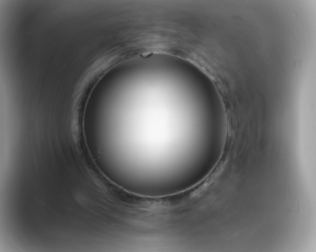 X0000089740245200707051802