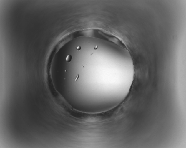 X0000089740248200707051802