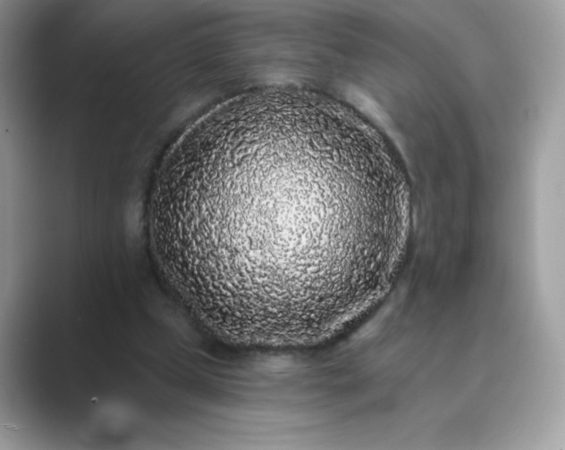 X0000089740249200707051802