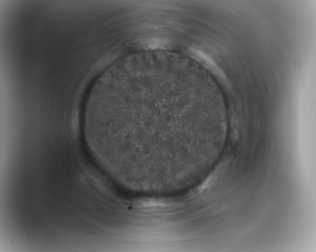 X0000089740250200707051802