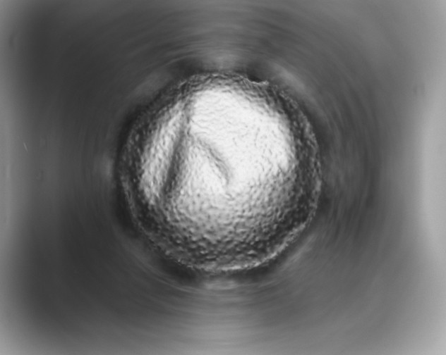 X0000089740258200707051802