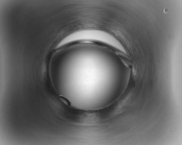 X0000089740260200707051802