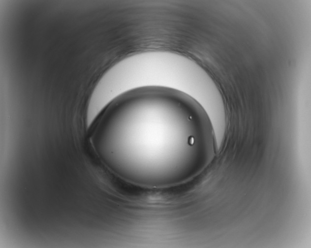 X0000089740264200707051802